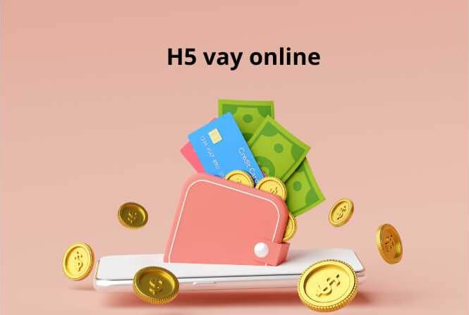 vay h5